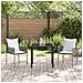 Set da Pranzo per Giardino 3 pcs Marrone Poly Rattan - Foto miniatura 4