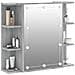 Mobile A Specchio Con Led Grigio Sonoma 70x16,5x60 Cm - Foto miniatura 5