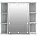 Mobile A Specchio Con Led Grigio Sonoma 70x16,5x60 Cm - Foto miniatura 6