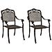 Sedia da Giardino 2 pcs Bronzo 55 x 56.5 x 91cm Alluminio - Foto miniatura 1