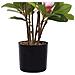 Pianta Artificiale In Vaso 70 Cm Magnolia - Foto miniatura 3