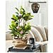 Pianta Artificiale In Vaso 70 Cm Magnolia - Foto miniatura 14