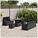 Set Divano da Giardino 8 Pezzi con Cuscini Nero Polyrattan Acacia, Divano da Giardino 2 Posti con Ripostiglio e Cuscini Nero Polyrattan, Set da Pranzo da Giardino 3 Pezzi con Cuscini Nero Polyrattan Acacia - Foto miniatura 3
