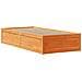 Giroletto senza Materasso Marrone Cera 100x200 cm Legno di Pino - Foto miniatura 5