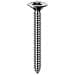 Set 100 Vite Autofilettante Inox Truciolare Tp 5x60 E-100 Bulloneria-viteria - Foto miniatura 1