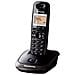 KX-TG2511JTT Cordless Colore Titanio - Foto miniatura 1