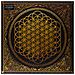 Bring Me The Horizon - Sempiternal - Foto miniatura 1