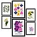 Set Di 6 Stampe Fiori Scala Cromatica Stampe Naturali E Botaniche Per L'interior Design A3 & A4 Senza Cornice - Foto miniatura 1