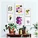 Set Di 6 Stampe Fiori Scala Cromatica Stampe Naturali E Botaniche Per L'interior Design A3 & A4 Senza Cornice - Foto miniatura 5