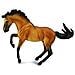Lusitano Stallion Buckskin - Foto miniatura 1
