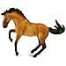 Lusitano Stallion Buckskin - Foto miniatura 2
