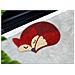 Zerbino Entrata Ingresso Esterno Antiscivolo Cocco Animal Fox - Foto miniatura 2