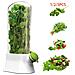 Contenitore Per Erbe Aromatiche Con Serbatoio D'acqua, Mantiene Le Verdure Fresche Più A Lungo - Foto miniatura 3