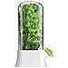 Contenitore Per Erbe Aromatiche Con Serbatoio D'acqua, Mantiene Le Verdure Fresche Più A Lungo - Foto miniatura 6