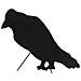Silhouette Crow, 63cm - Foto miniatura 1