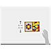 Melissa Doug Blocks Pattern E Boards Classic Toy (developmental Giocattolo Blocchi Di Forma Di Legno 120 Forme 5 Schede Grande Regalo Per Ragazze E Ragazzi - Meglio Per 3 4 5 E 6 Anni)  - Foto miniatura 2