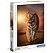 31806 - Puzzle Tiger - 1500 pezzi - High Quality Collection - Foto miniatura 1