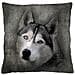 Cuscino Husky, 40x13x40, Multicolore, Tessuto - Foto miniatura 1