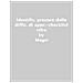 Michela Muccinelli - Identificazione precoce delle difficoltà di apprendimento. Checklist CIFRA. Valutazione e potenziamento didattico per il biennio della scuola primaria - Foto miniatura 1