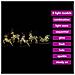 Renne LED con 40 LED 5 pcs Oro PET - Foto miniatura 7