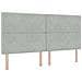 Letto con contenitore e materasso Grigio Chiaro 200 x 200 cm - Foto miniatura 4
