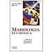 Giancarlo Bruni - Mariologia ecumenica. Approcci, documenti, prospettive - Foto miniatura 1