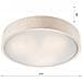 Lampada A Soffitto Eveline - Bianco - Legno, Vetro - 8x47x47 Cm - Foto miniatura 5