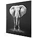 Quadro Elefante In Tela, Da 100x100 Cm Grigio - Foto miniatura 5
