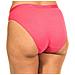 Confezione Da 3 Mutandine Slips Cotone Elasticizzato D4c17 Per Donna - Foto miniatura 5