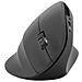 Mouse Ergonomico Verticale Wireless Pivao Speedlink - Foto miniatura 4