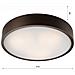 Lampada A Soffitto Eveline - Marrone - Legno, Vetro - 8x47x47 Cm - Foto miniatura 5