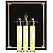 Impostare,, Black Oud Extreme Amber, Estratto Di Profumo, Unisex, 3 Pz, 15 Ml - Foto miniatura 1