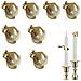 Estintore Automatico Per Candele Estinguente A Forma Di Conchiglia 8pack - Foto miniatura 1
