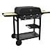 AM083T barbecue per l'aperto e bistecchiera - Foto miniatura 1