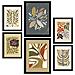 Set Di 6 Stampe Stampe Di Piante In Cornici Decorative Della Collezione Di Stampanti Etniche Per La Stampa Artistica Da Parete Del Tuo Soggiorno A3 & A4 Senza Cornice - Foto miniatura 1