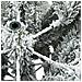 Albero di Natale Artificiale Snodato Foderato di Neve Bianco - Foto miniatura 7