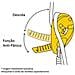 Unisexadult D020aa00 Avevo S Descender Solido Einheitsgre - Foto miniatura 3
