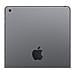 [Ricondizionato BASIC] iPad 10.2 32 GB 10.2" Wi-Fi Grigio Siderale - Foto miniatura 3