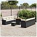 Set Divano da Giardino 11 Pezzi con Cuscini Nero Polyrattan Acacia,  Set da Pranzo da Giardino 3 Pezzi con Cuscini Nero Polyrattan Acacia - Foto miniatura 3