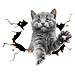 Adesivi Auto 3d Gatto Grigio - Set Da 2, Design Creativo E Divertente - Foto miniatura 1