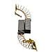 Spazzole di carbone per Wolf 4620 - 6,3 x 7 x 14 mm - coppia - Foto miniatura 1