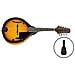 Qman-10 Sb Sunburst - Foto miniatura 1