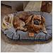 Cuscino Per Cani E Gatti Stuart 89/10 Blu - Foto miniatura 2