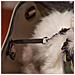 Borsa Per Animali Di Piccola Taglia With Me Pro Max 8 Kg, Rete Protettiva E Manici Regolabili - Foto miniatura 5