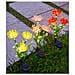 Luci Solari A Forma Di Fiore Per Giardino Esterno Pink - Foto miniatura 2