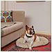 Cuscino Per Cani E Gatti Stuart 65/6 Beige - Foto miniatura 2