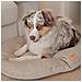 Cuscino Per Cani E Gatti Stuart 65/6 Beige - Foto miniatura 3