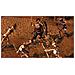 PS3 Dungeon Siege III Versione ITA / UK - Foto miniatura 6