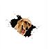 Adesivi 3d Per Auto Con Golden Retriever - Set Da 2, Design Creativo E Simpatico - Foto miniatura 3