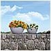 Fioriera CUBETO Stone 40 ALL-IN-ONE Pietra Grigio 13840 - Foto miniatura 8